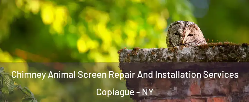  Chimney Animal Screen Repair And Installation Services Copiague - NY