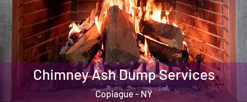  Chimney Ash Dump Services Copiague - NY