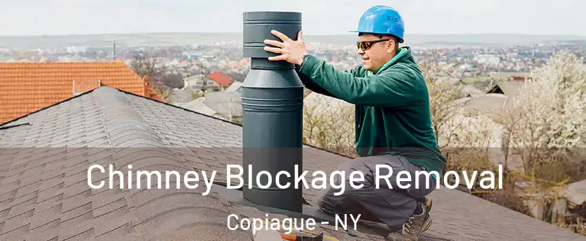  Chimney Blockage Removal Copiague - NY