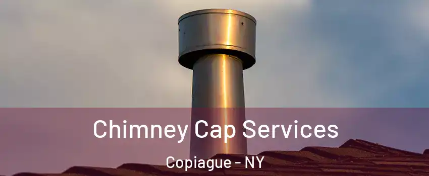  Chimney Cap Services Copiague - NY