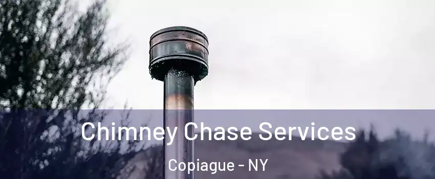  Chimney Chase Services Copiague - NY