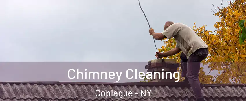  Chimney Cleaning Copiague - NY
