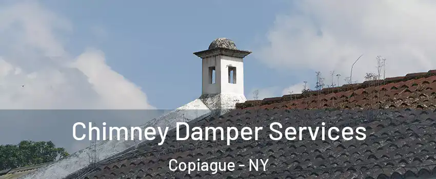  Chimney Damper Services Copiague - NY