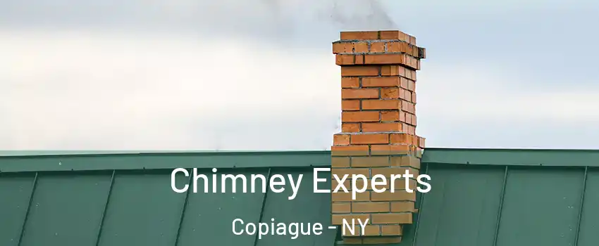 Chimney Experts Copiague - NY