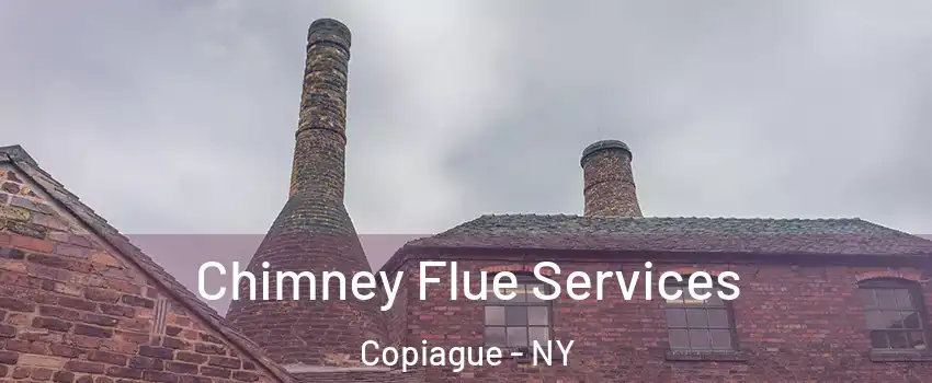  Chimney Flue Services Copiague - NY