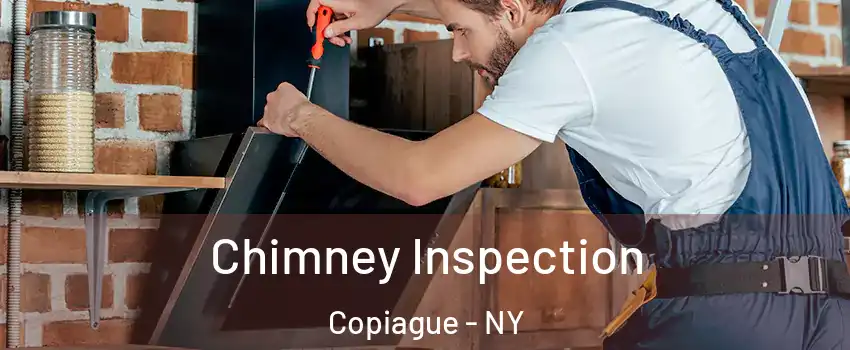  Chimney Inspection Copiague - NY