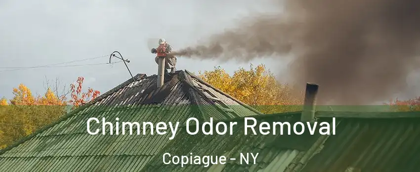  Chimney Odor Removal Copiague - NY