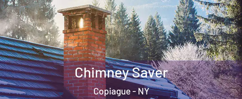  Chimney Saver Copiague - NY