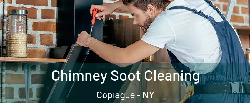  Chimney Soot Cleaning Copiague - NY