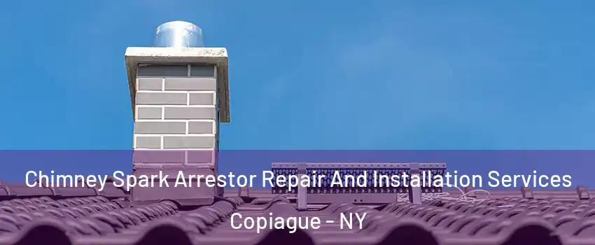  Chimney Spark Arrestor Repair And Installation Services Copiague - NY