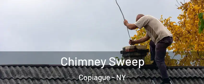  Chimney Sweep Copiague - NY