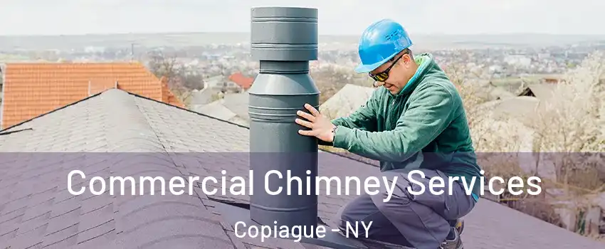  Commercial Chimney Services Copiague - NY