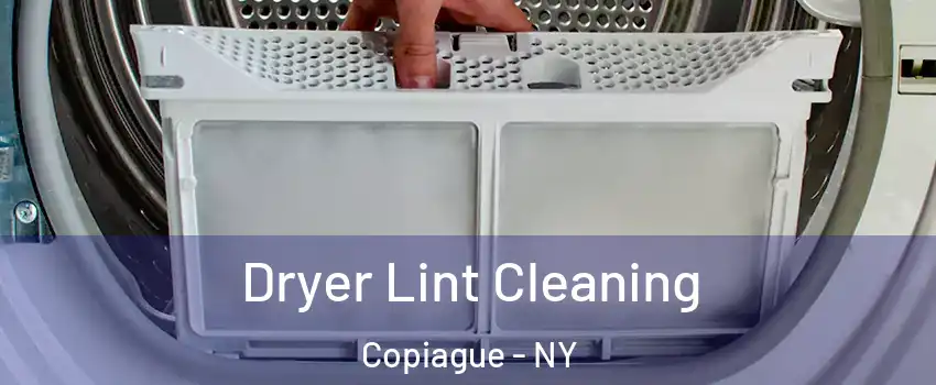  Dryer Lint Cleaning Copiague - NY