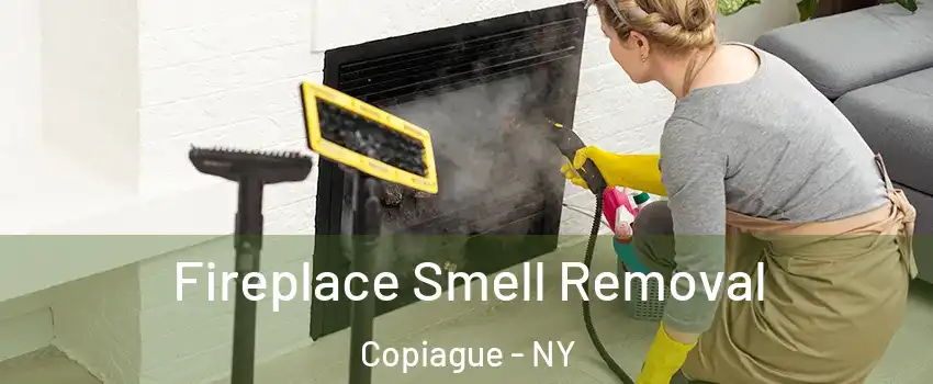  Fireplace Smell Removal Copiague - NY