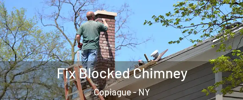  Fix Blocked Chimney Copiague - NY