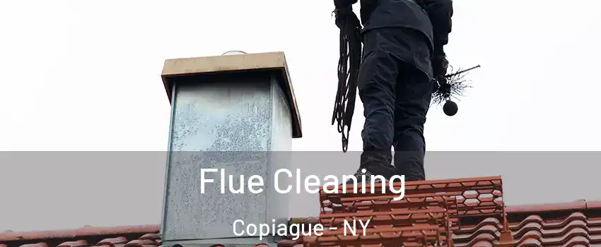 Flue Cleaning Copiague - NY
