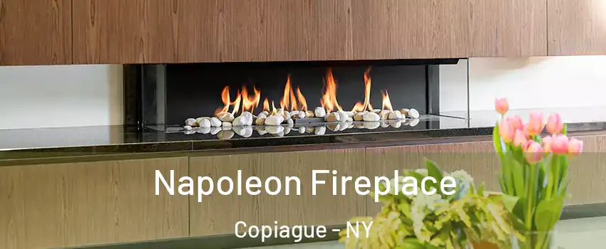  Napoleon Fireplace Copiague - NY